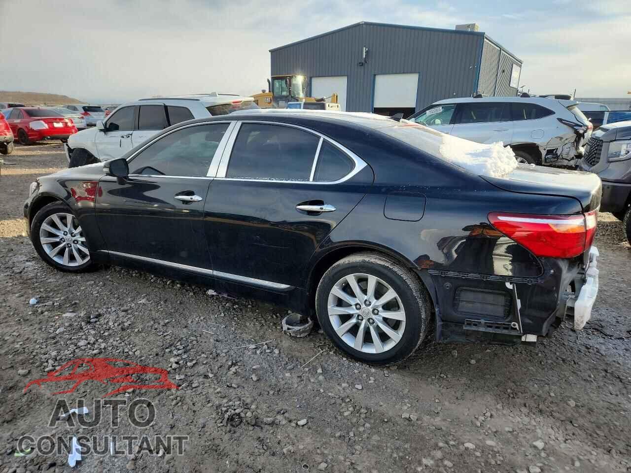 LEXUS LS 460 2011 - JTHCL5EF1B5010684