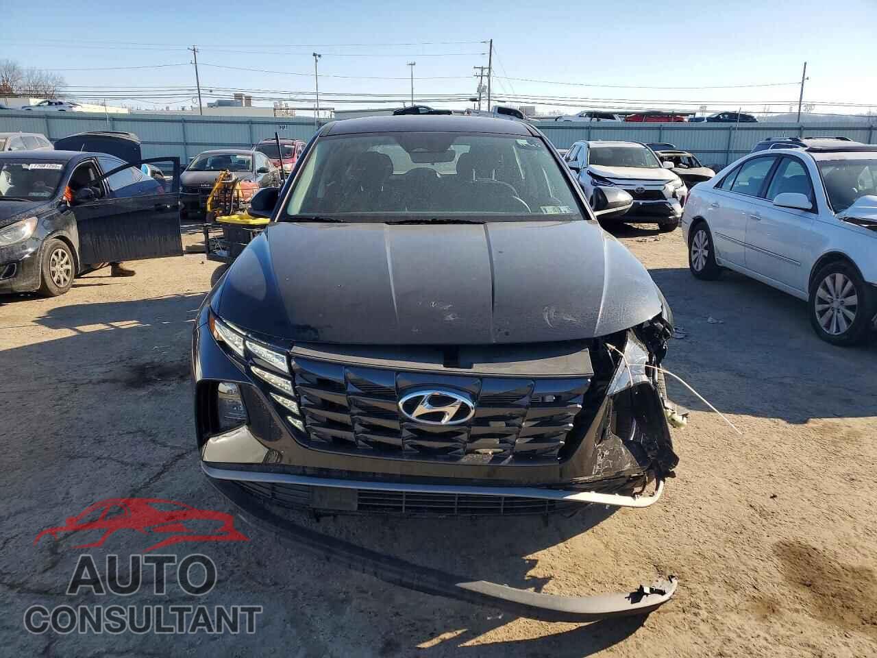 HYUNDAI TUCSON 2024 - 5NMJACDE7RH432980