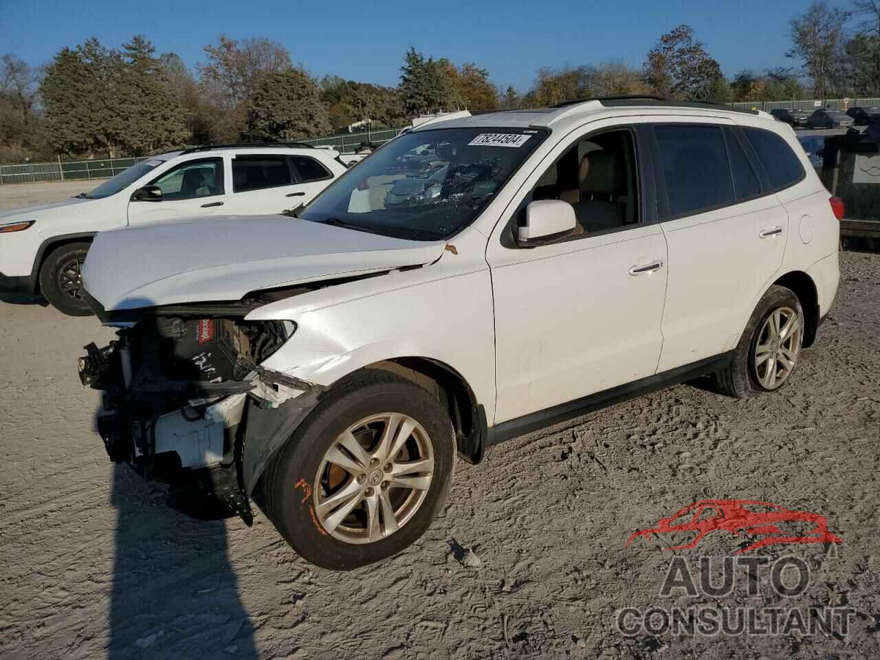 HYUNDAI SANTA FE 2011 - 5XYZK3AB7BG042553