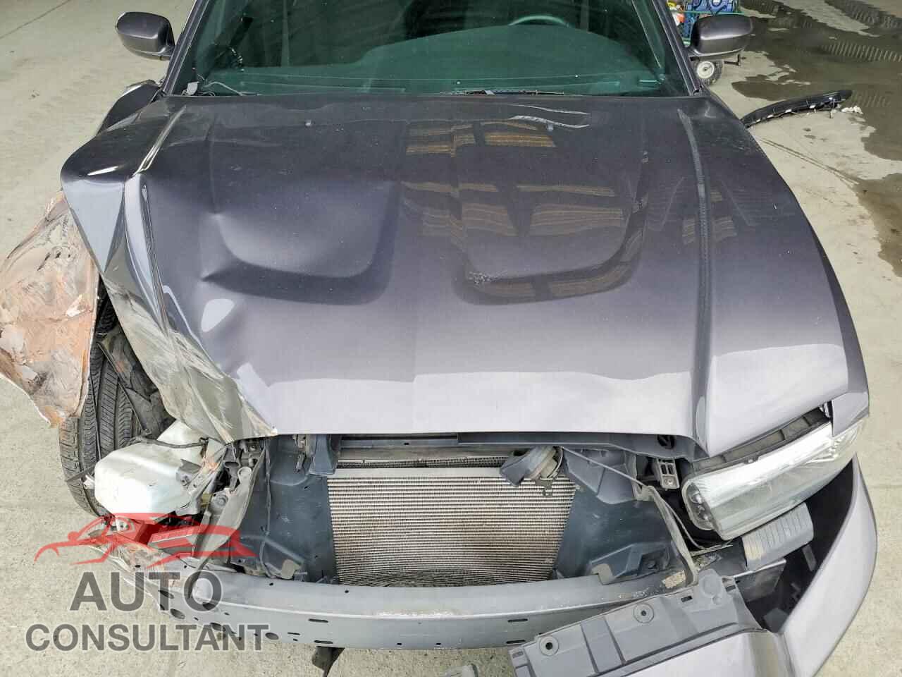 DODGE CHARGER 2014 - 2C3CDXBG0EH204843