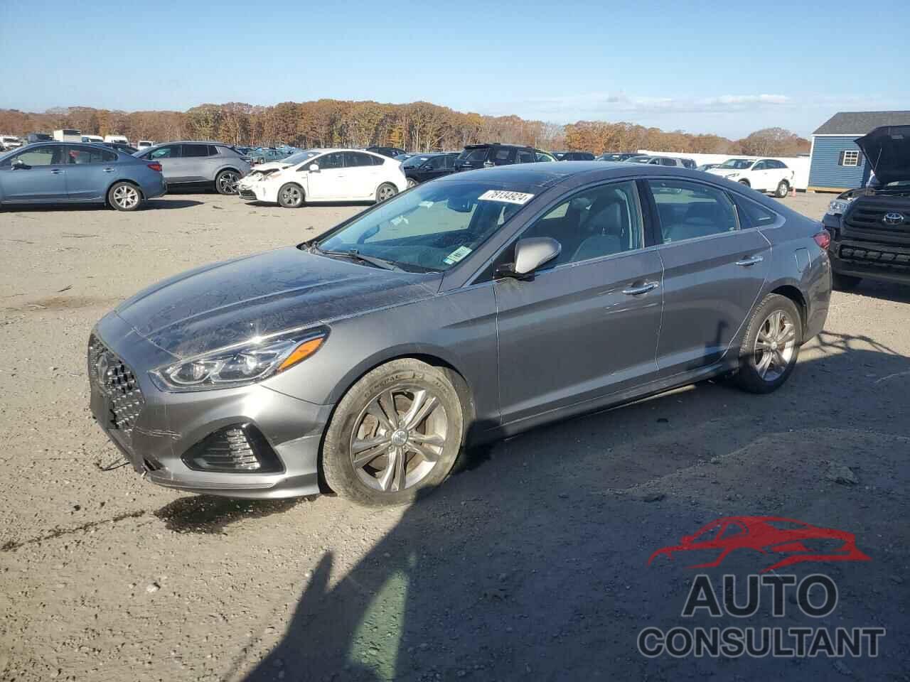 HYUNDAI SONATA 2019 - 5NPE34AFXKH755234