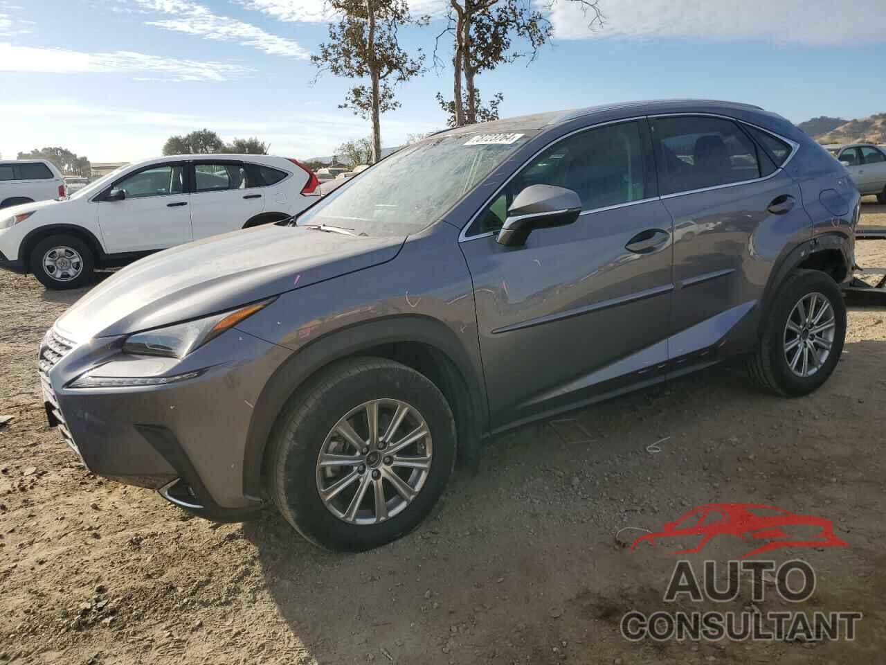 LEXUS NX 2019 - JTJYARBZ0K2140876