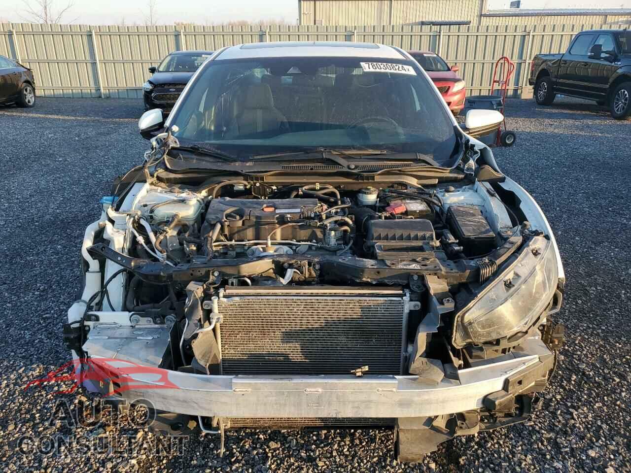 HONDA CIVIC 2019 - 2HGFC2F86KH018464