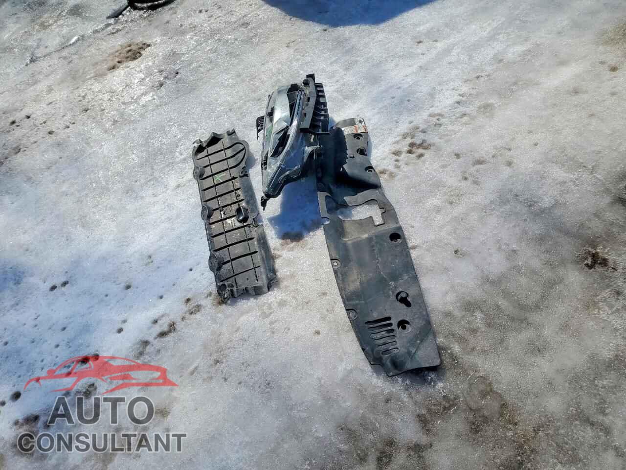 HONDA CIVIC 2019 - 2HGFC2F78KH006128
