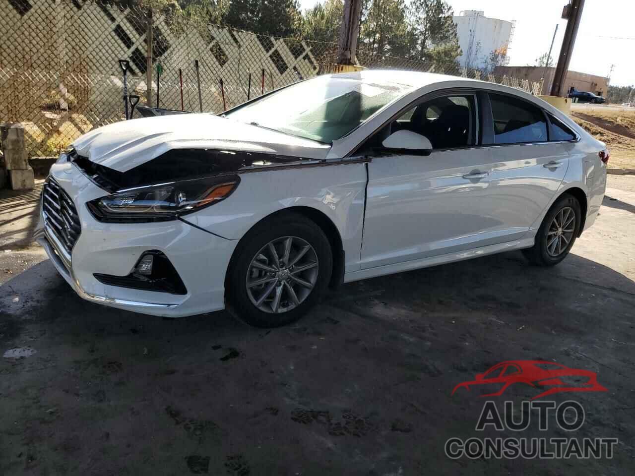 HYUNDAI SONATA 2019 - 5NPE24AF9KH796392