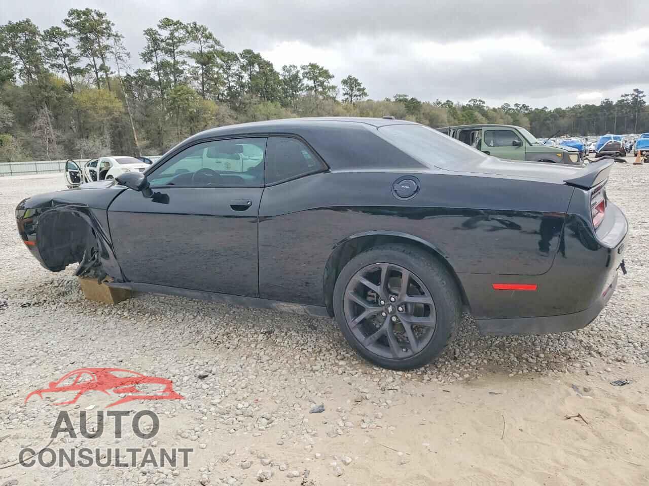 DODGE CHALLENGER 2019 - 2C3CDZAG4KH551455