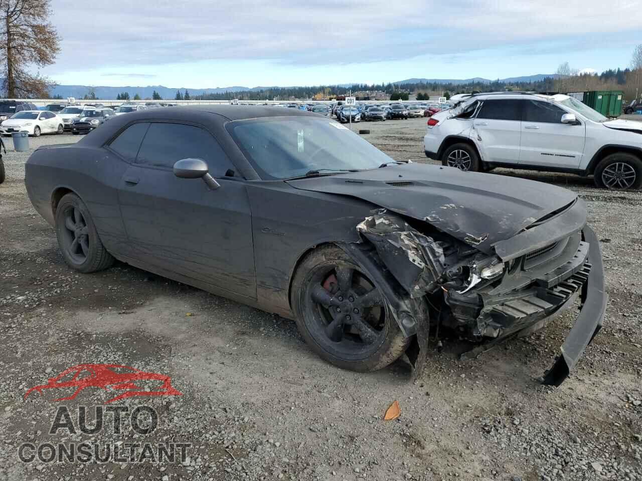DODGE CHALLENGER 2012 - 2C3CDYBT6CH294189