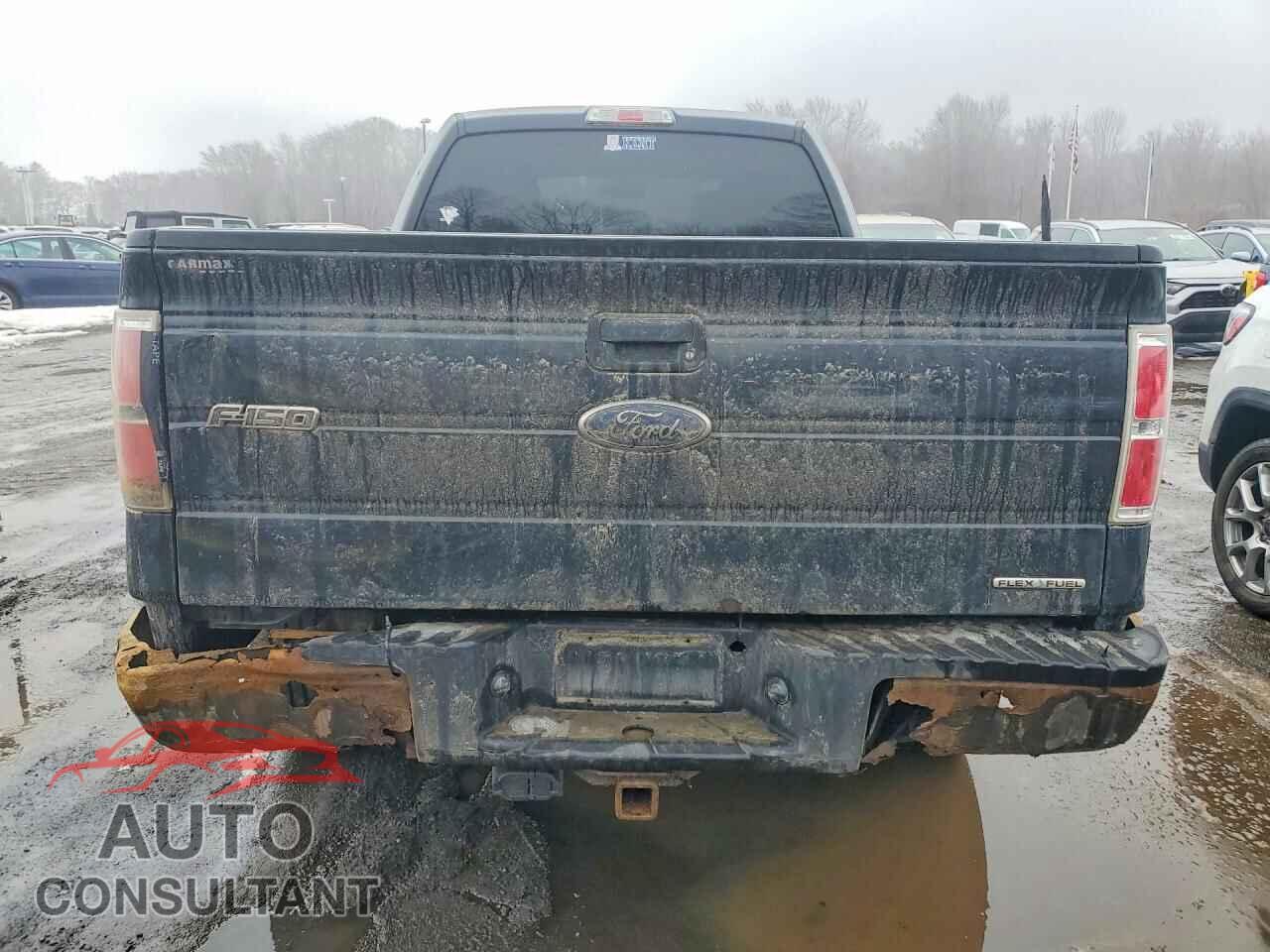 FORD F150 2013 - 1FTFX1EF8DFA07967
