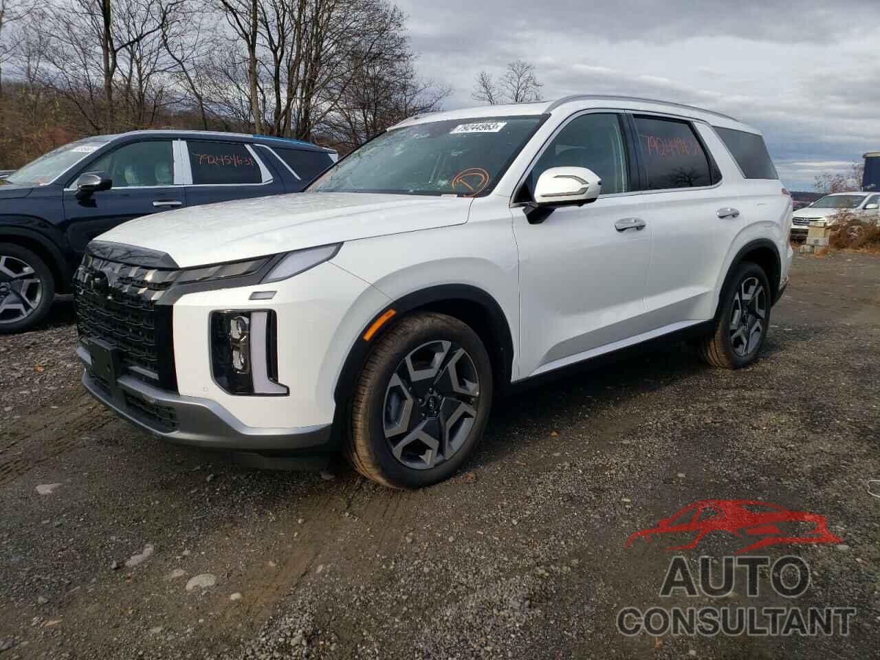 HYUNDAI PALISADE 2024 - KM8R54GE7RU671734