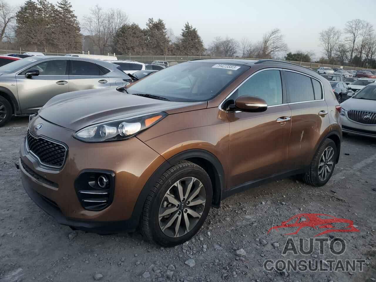 KIA SPORTAGE 2019 - KNDPN3ACXK7563562