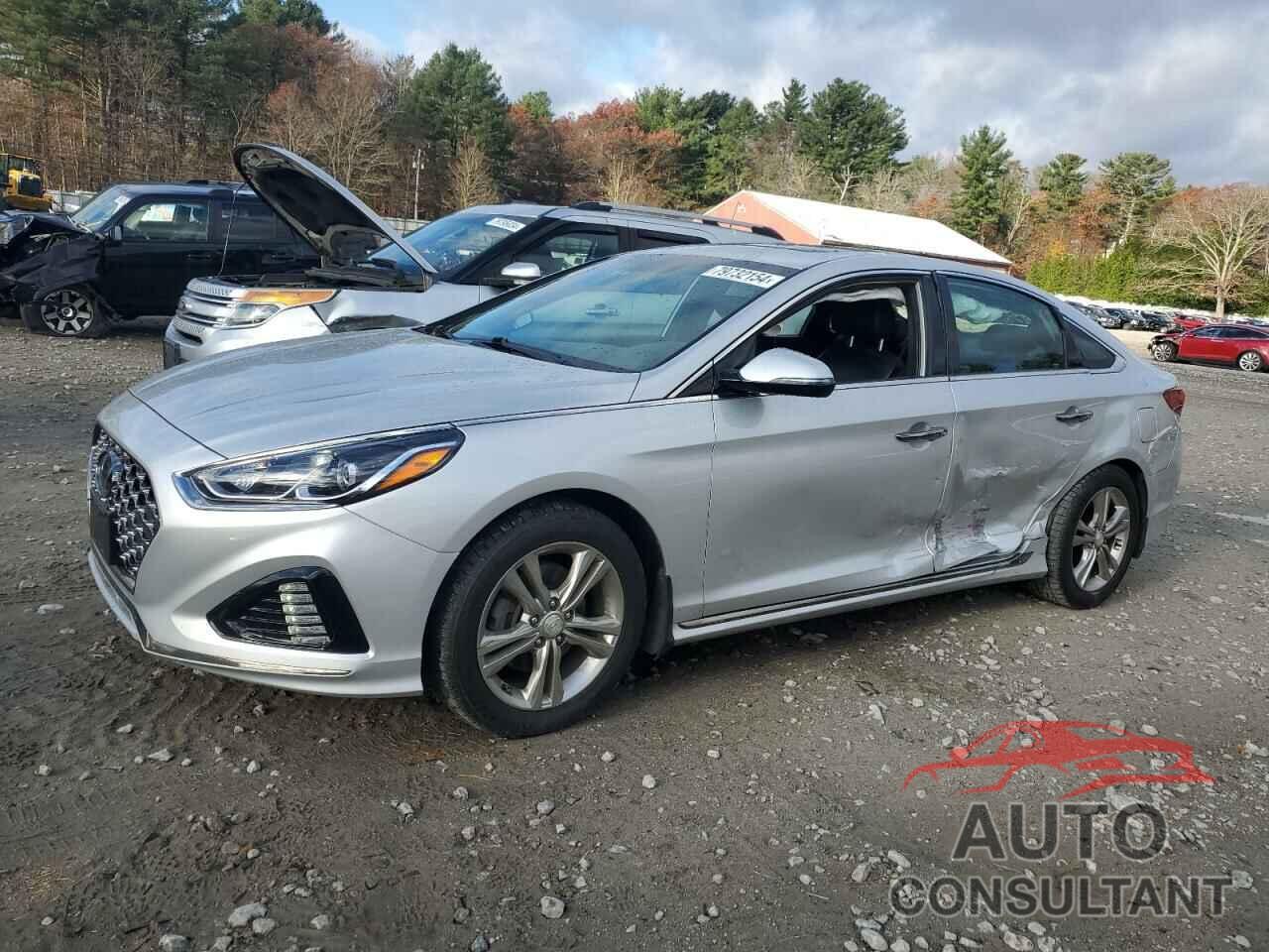 HYUNDAI SONATA 2019 - 5NPE34AF9KH811101