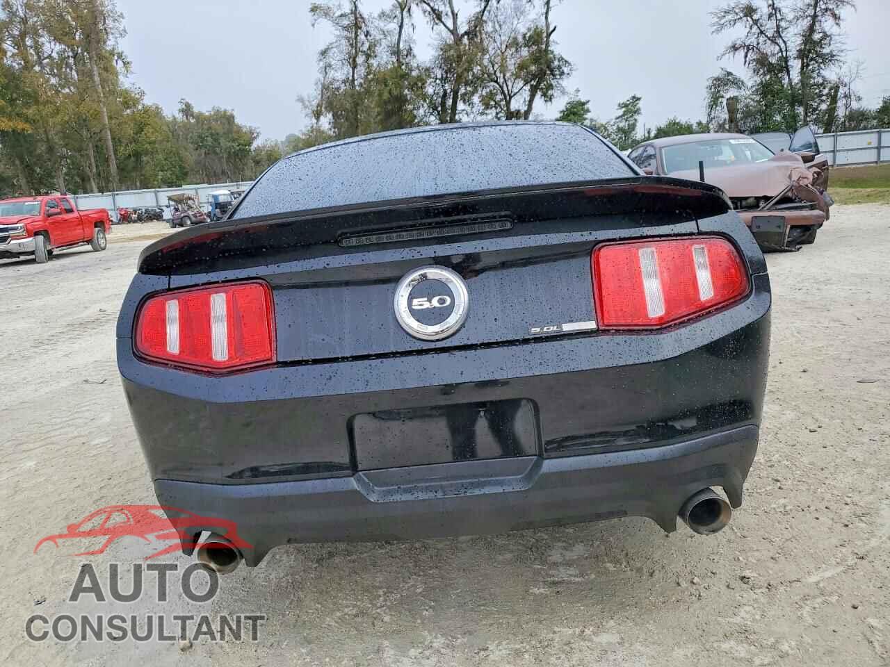 FORD MUSTANG 2011 - 1ZVBP8CF2B5138547
