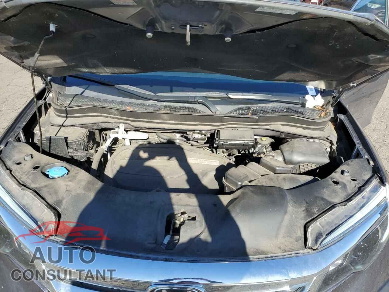 HONDA PILOT 2019 - 5FNYF6H55KB100118