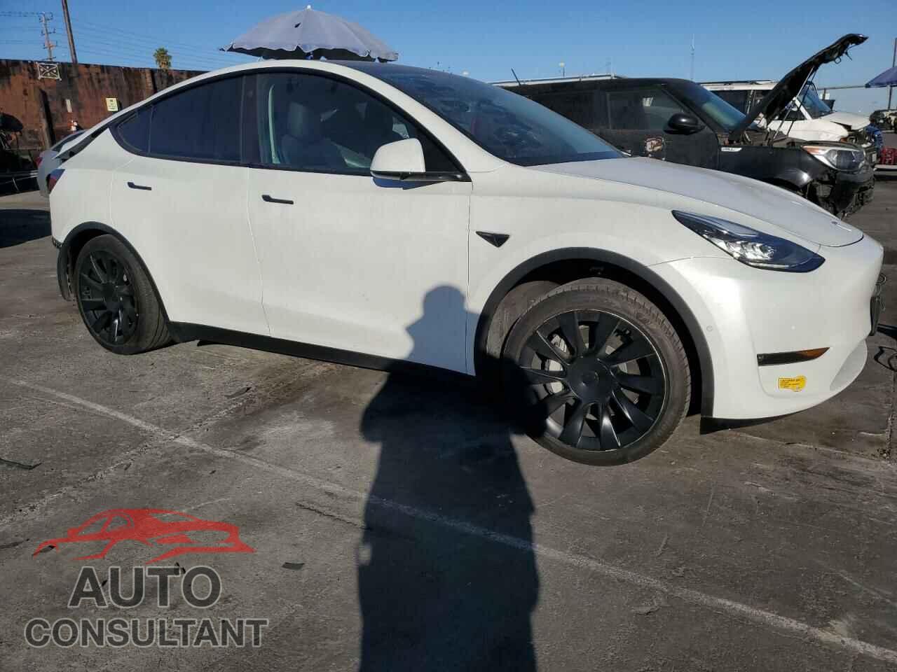 TESLA MODEL Y 2022 - 7SAYGDEE6NF346785