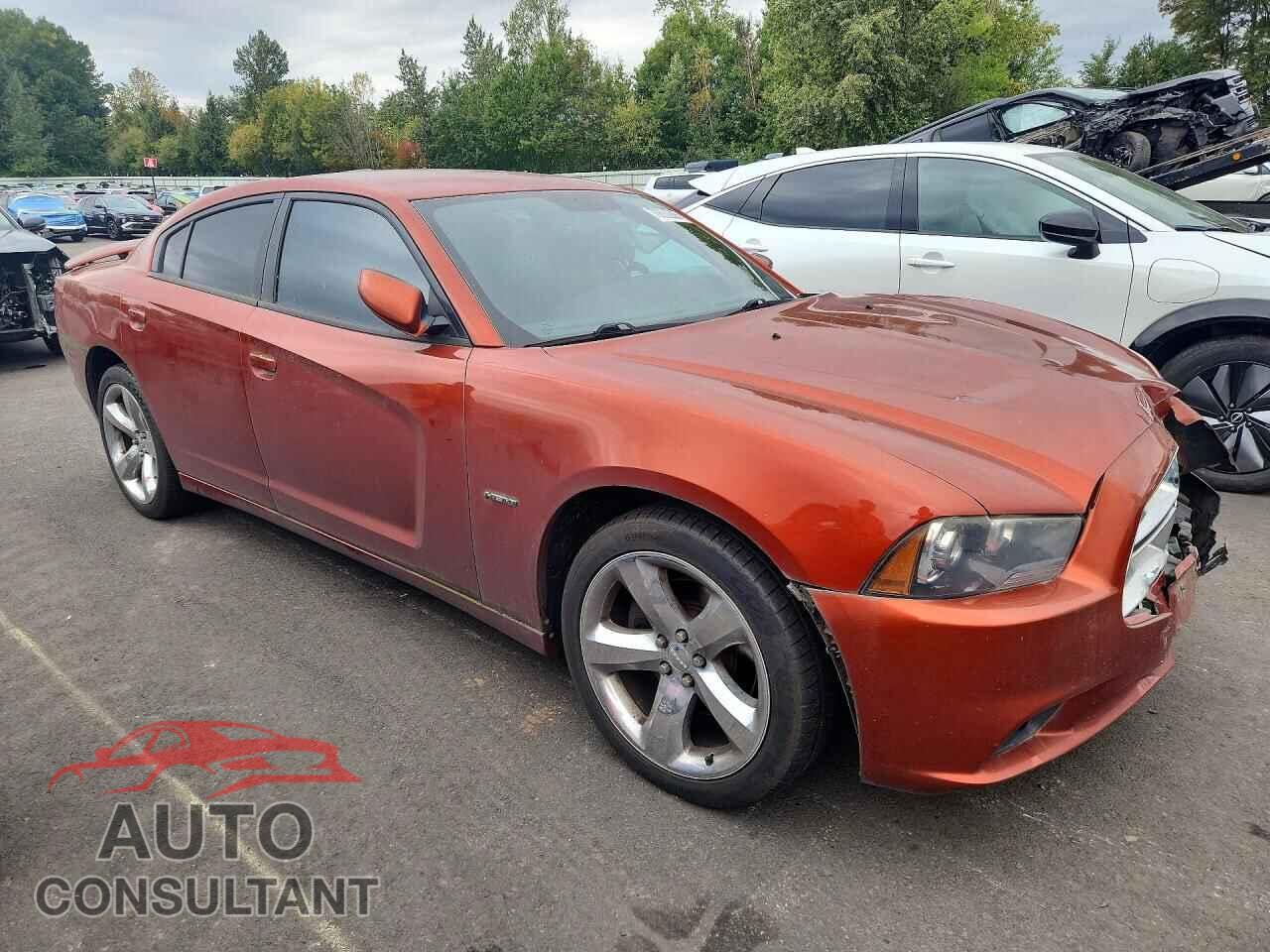 DODGE CHARGER 2013 - 2C3CDXCT0DH594479