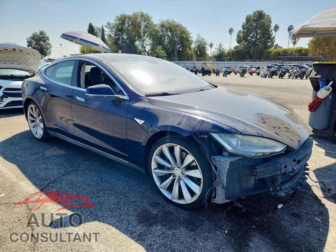 TESLA MODEL S 2013 - 5YJSA1DN0DFP12274
