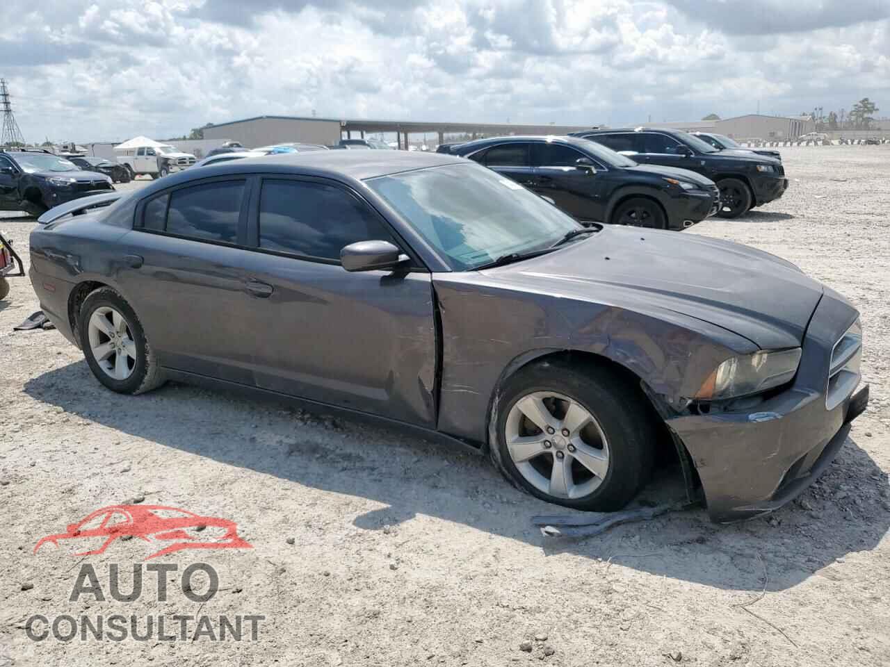 DODGE CHARGER 2014 - 2C3CDXHG1EH287559
