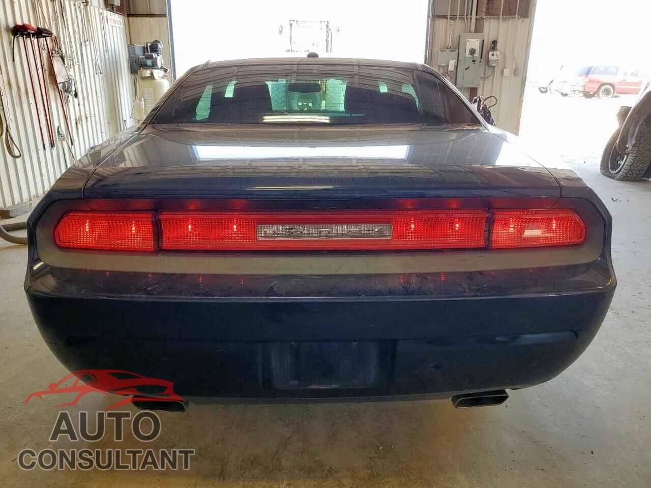 DODGE CHALLENGER 2014 - 2C3CDYAG9EH294162