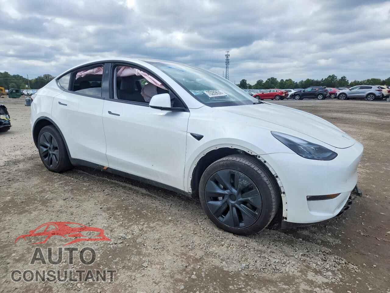 TESLA MODEL Y 2024 - 7SAYGDEE6RF169810