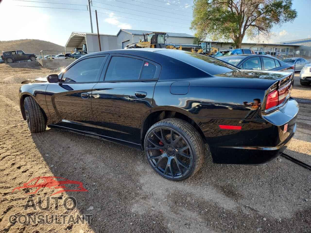 DODGE CHARGER 2014 - 2C3CDXKT0EH360510