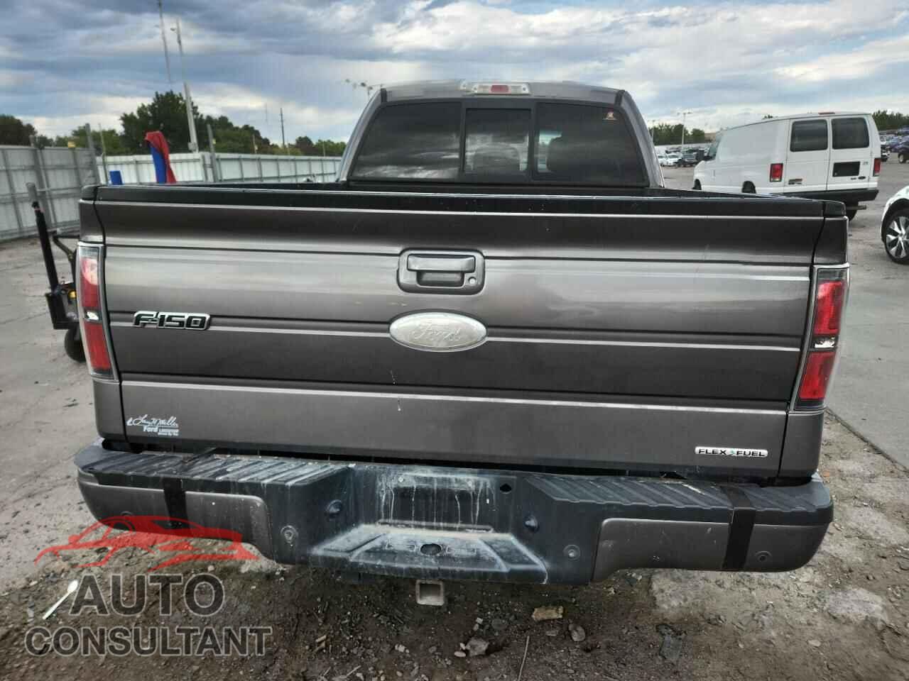 FORD F-150 2011 - 1FTFX1EF0BFC50427