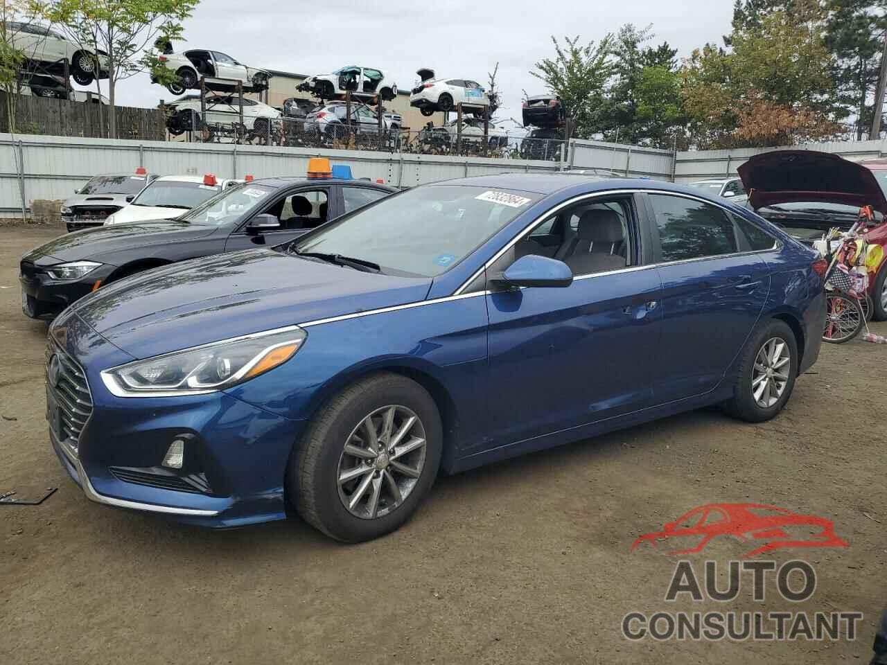 HYUNDAI SONATA 2018 - 5NPE24AF0JH616862