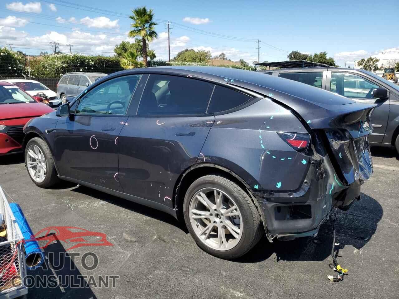 TESLA MODEL Y 2024 - 7SAYGDEEXRF080886