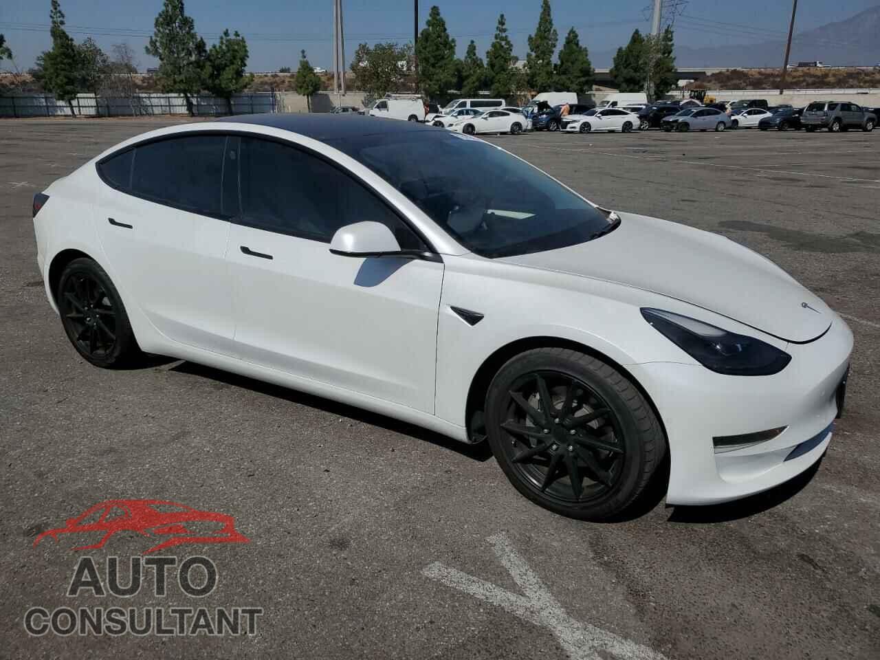 TESLA MODEL 3 2021 - 5YJ3E1EAXMF066035