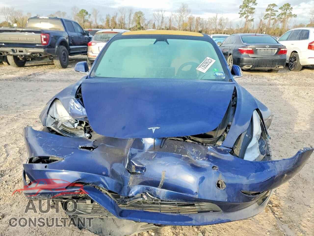 TESLA MODEL 3 2019 - 5YJ3E1EA9KF302011
