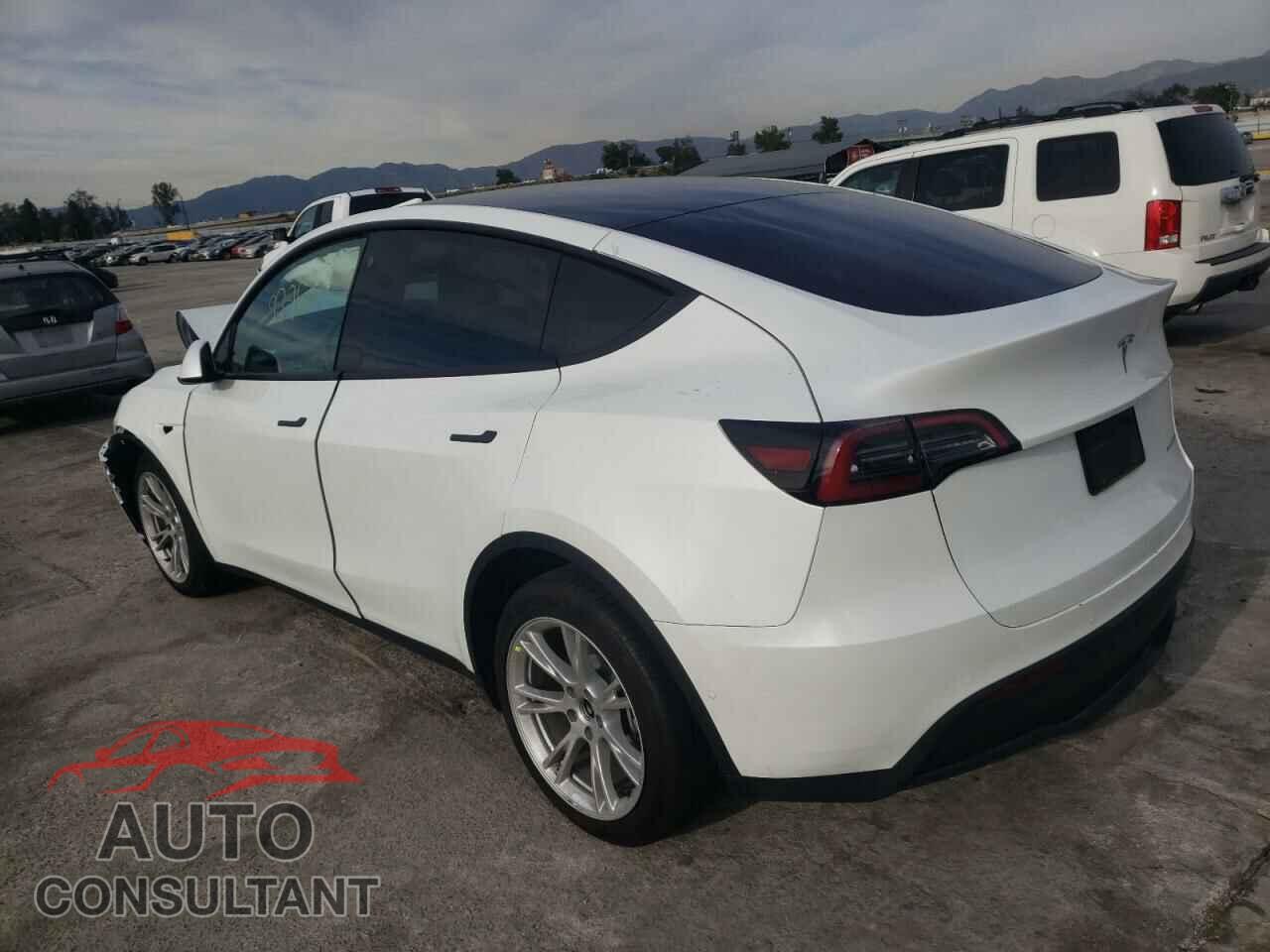 TESLA MODEL Y 2022 - 7SAYGDEE6NF511346