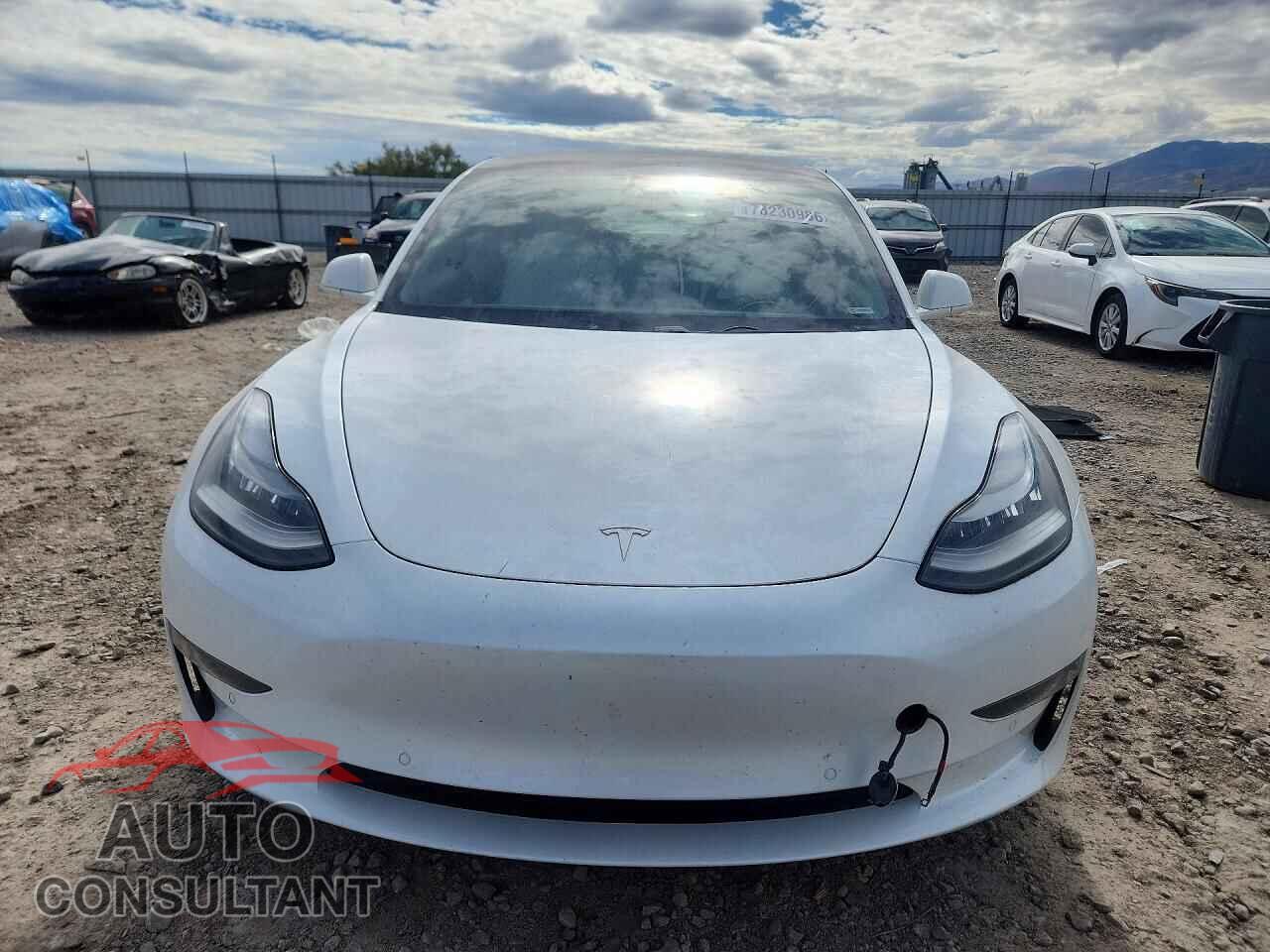 TESLA MODEL 3 2019 - 5YJ3E1EB7KF454684