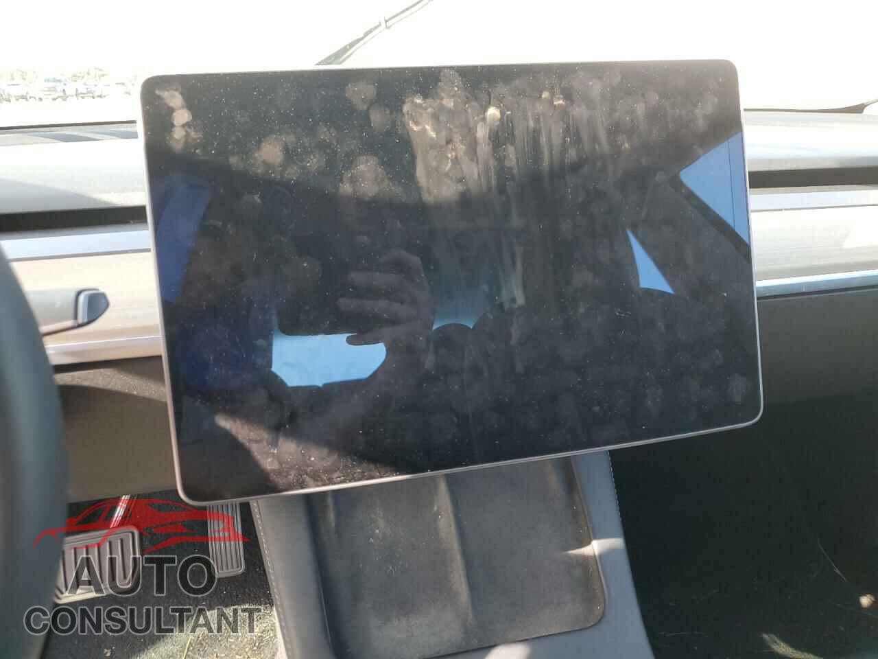 TESLA MODEL S 2021 - 5YJ3E1EB9MF099200