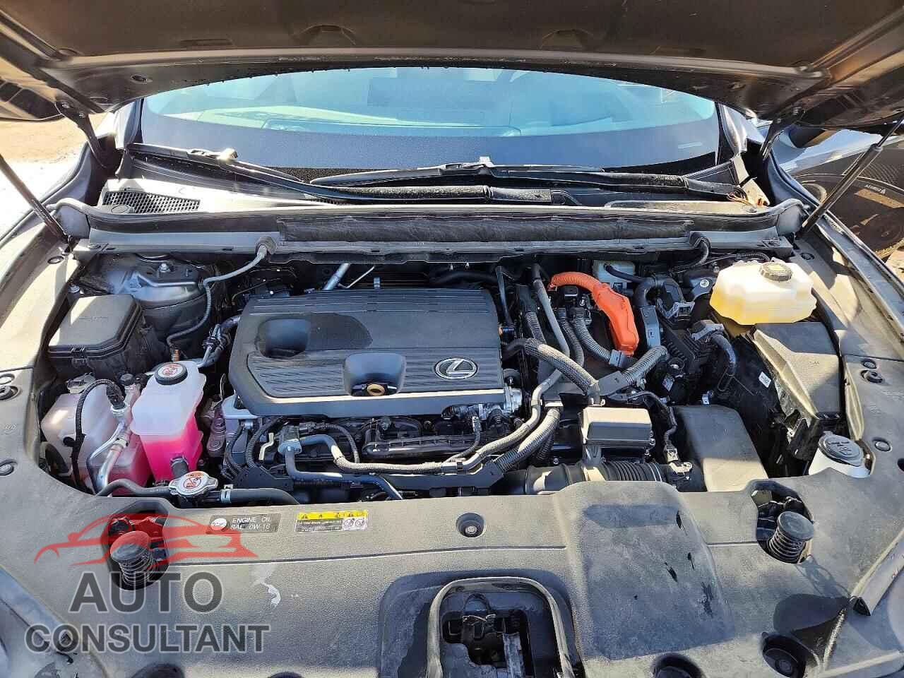 LEXUS RX 350H BA 2025 - 2T2BBMCA8SC073524