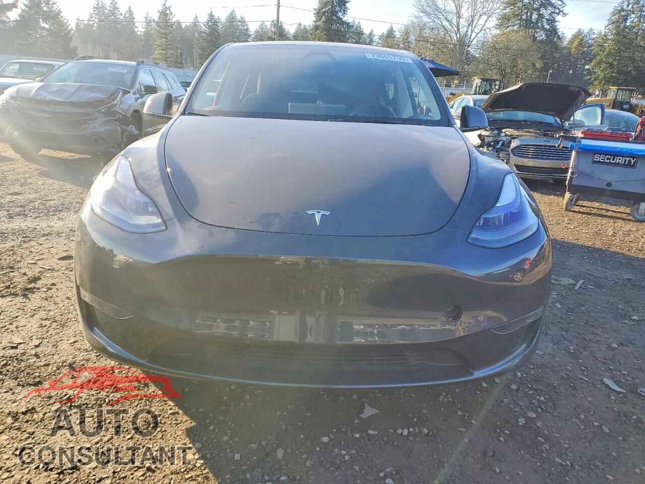 TESLA MODEL Y 2024 - 7SAYGDEE9RF205604