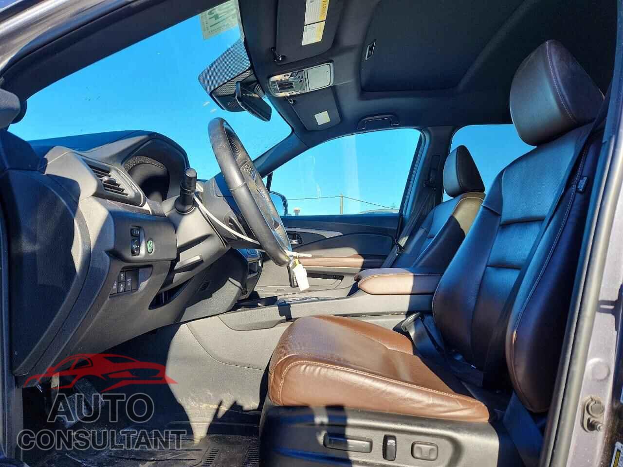 HONDA RIDGELINE 2024 - 5FPYK3F50RB007635