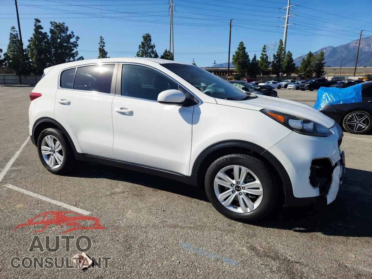 KIA SPORTAGE 2019 - KNDPM3AC2K7625216