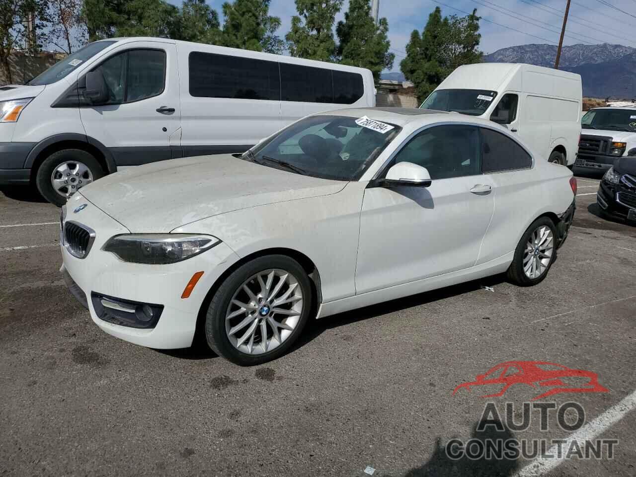 BMW 2 SERIES 2016 - WBA1F9C52GV546601