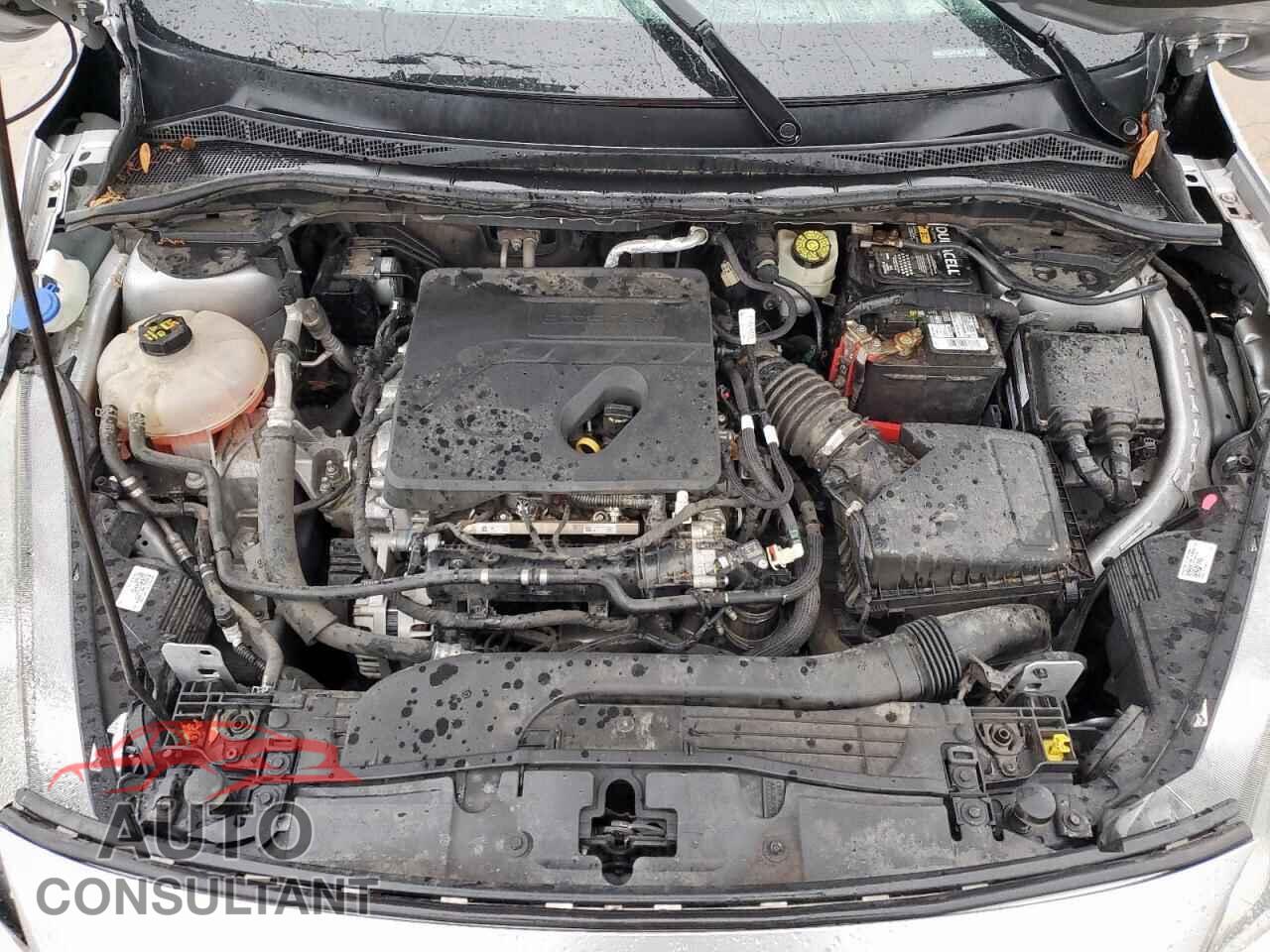 FORD ESCAPE 2020 - 1FMCU0G67LUA31167
