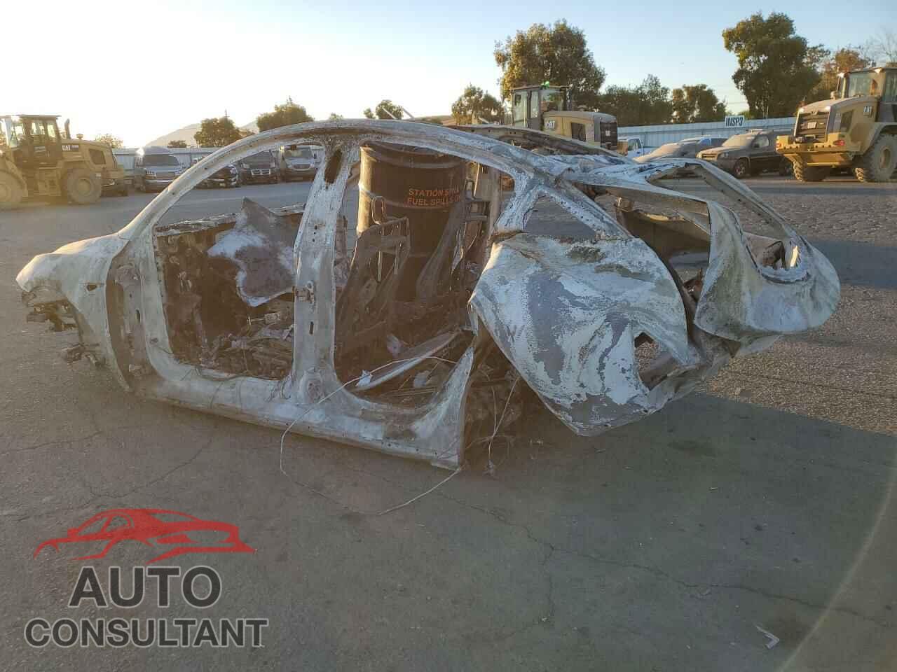 TESLA MODEL Y 2024 - 7SAYGDED4RF073634
