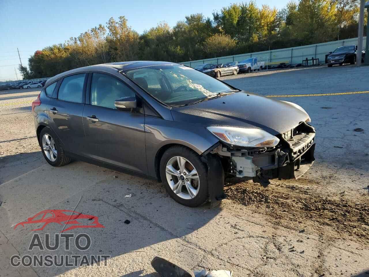 FORD FOCUS 2014 - 1FADP3K29EL206488