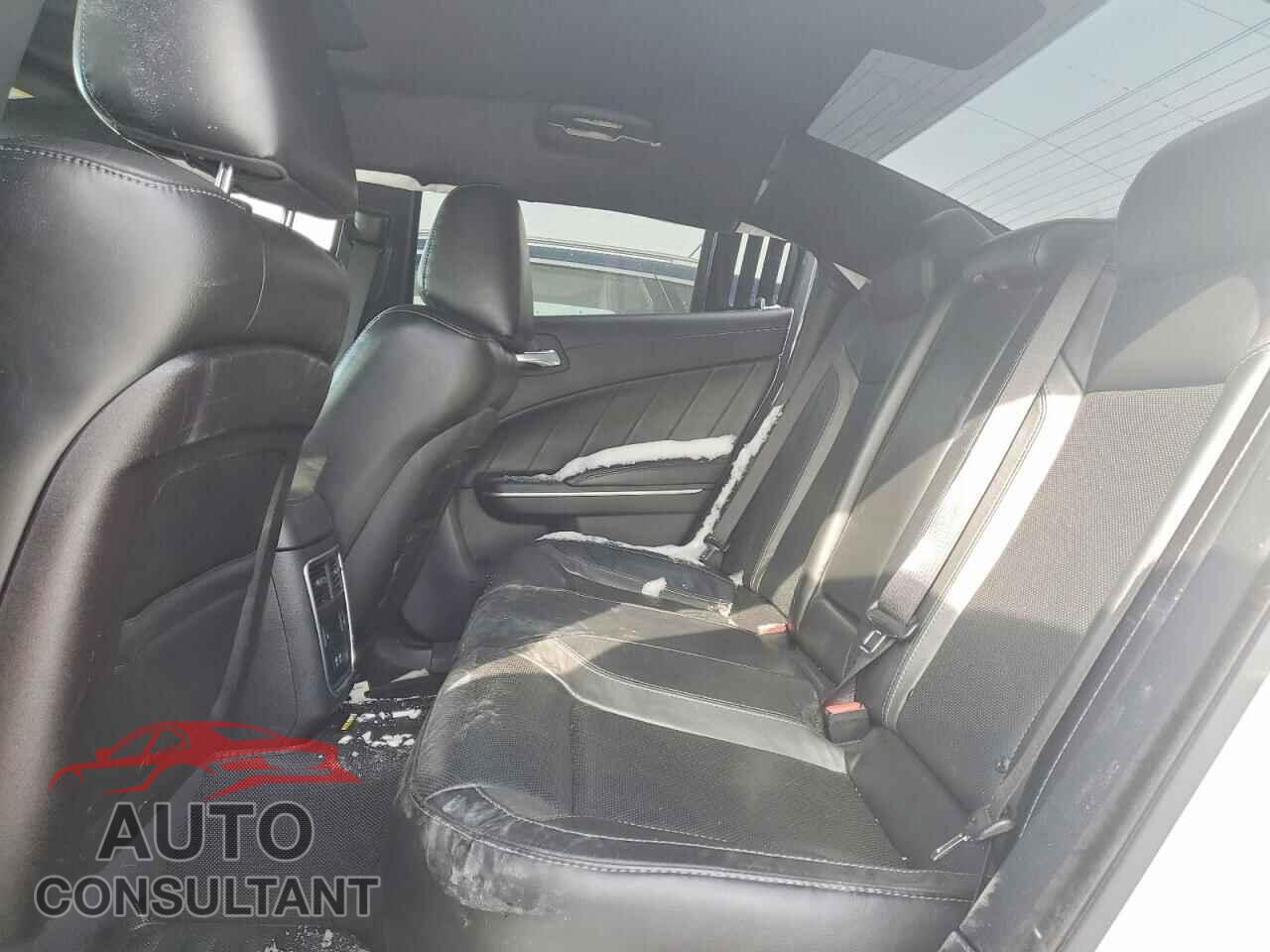 DODGE CHARGER 2019 - 2C3CDXJG1KH659066