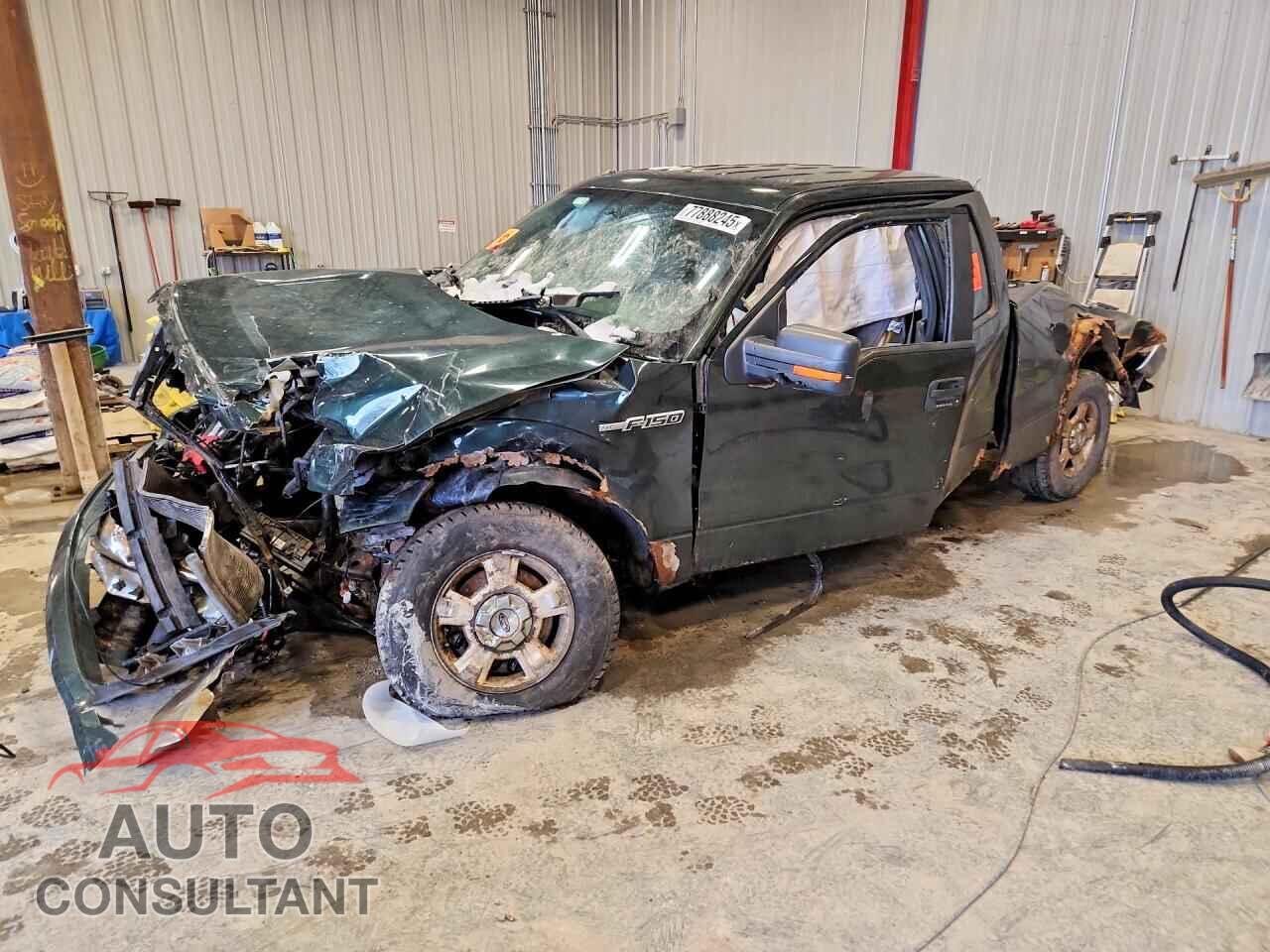 FORD F-150 2013 - 1FTFX1EF7DFB07543