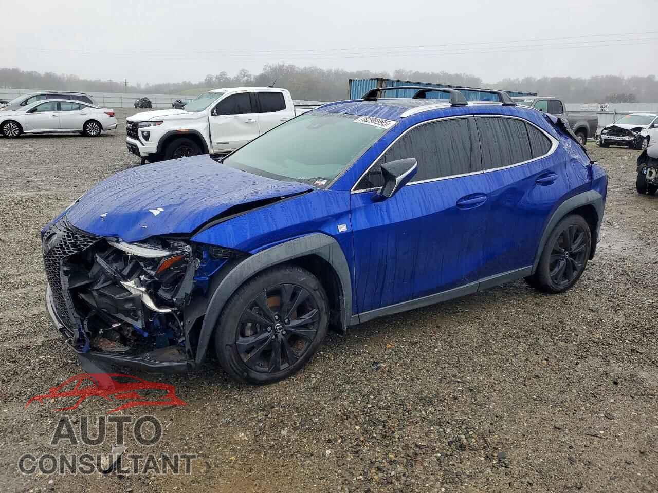 LEXUS ALL OTHER 2019 - JTHY3JBH8K2017377