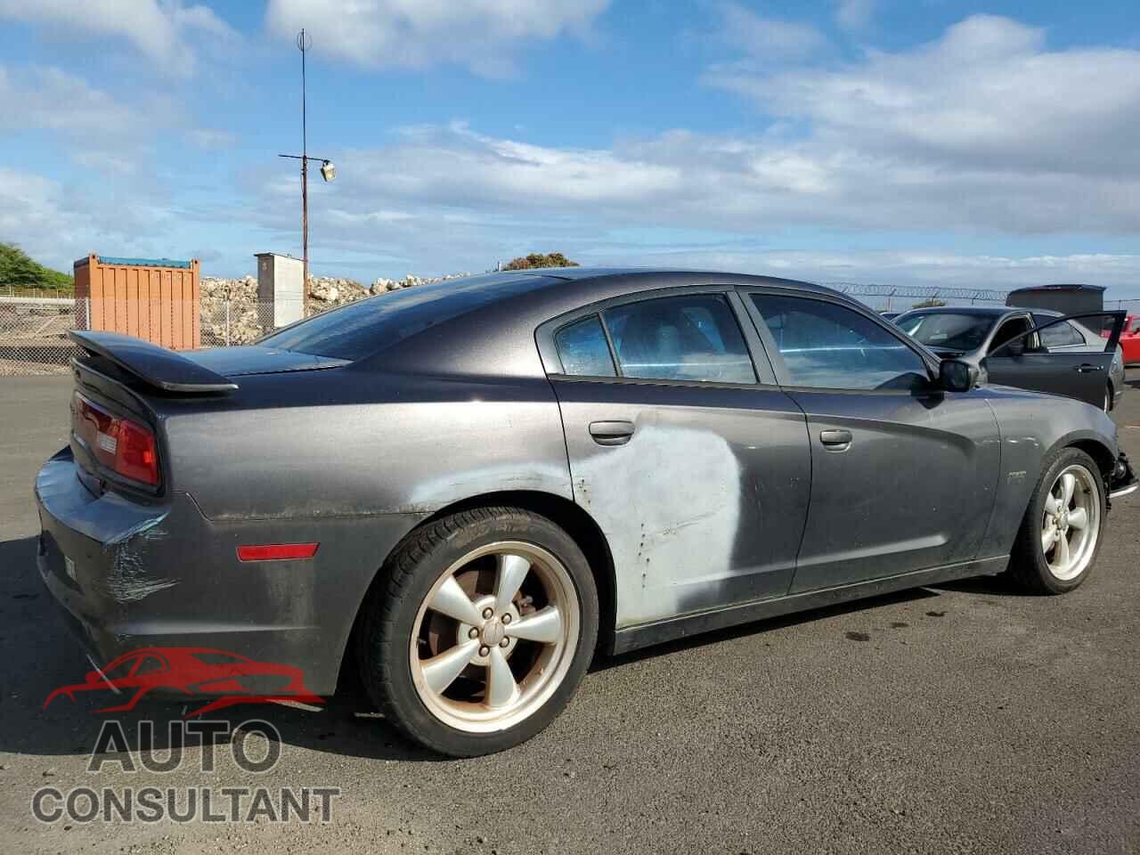 DODGE CHARGER 2013 - 2C3CDXCT9DH595937