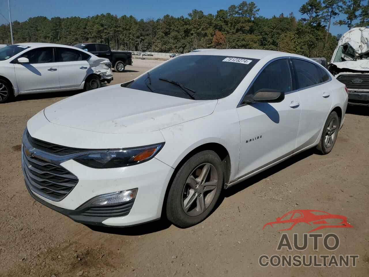 CHEVROLET MALIBU 2019 - 1G1ZB5STXKF130625