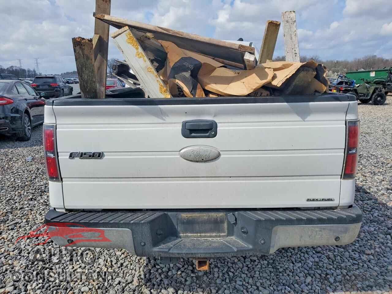 FORD F150 2011 - 1FTFX1EF7BFD36544
