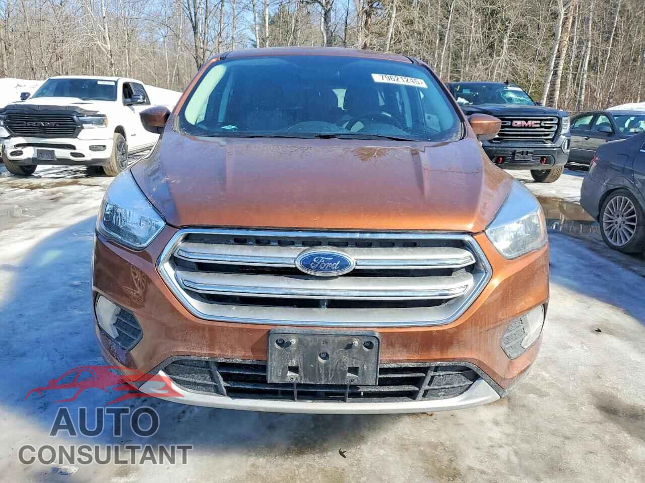 FORD ESCAPE 2017 - 1FMCU9GD3HUE58873