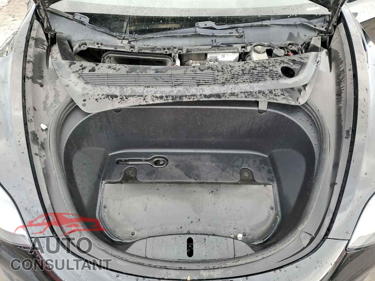 TESLA MODEL 3 2019 - 5YJ3E1EAXKF306729