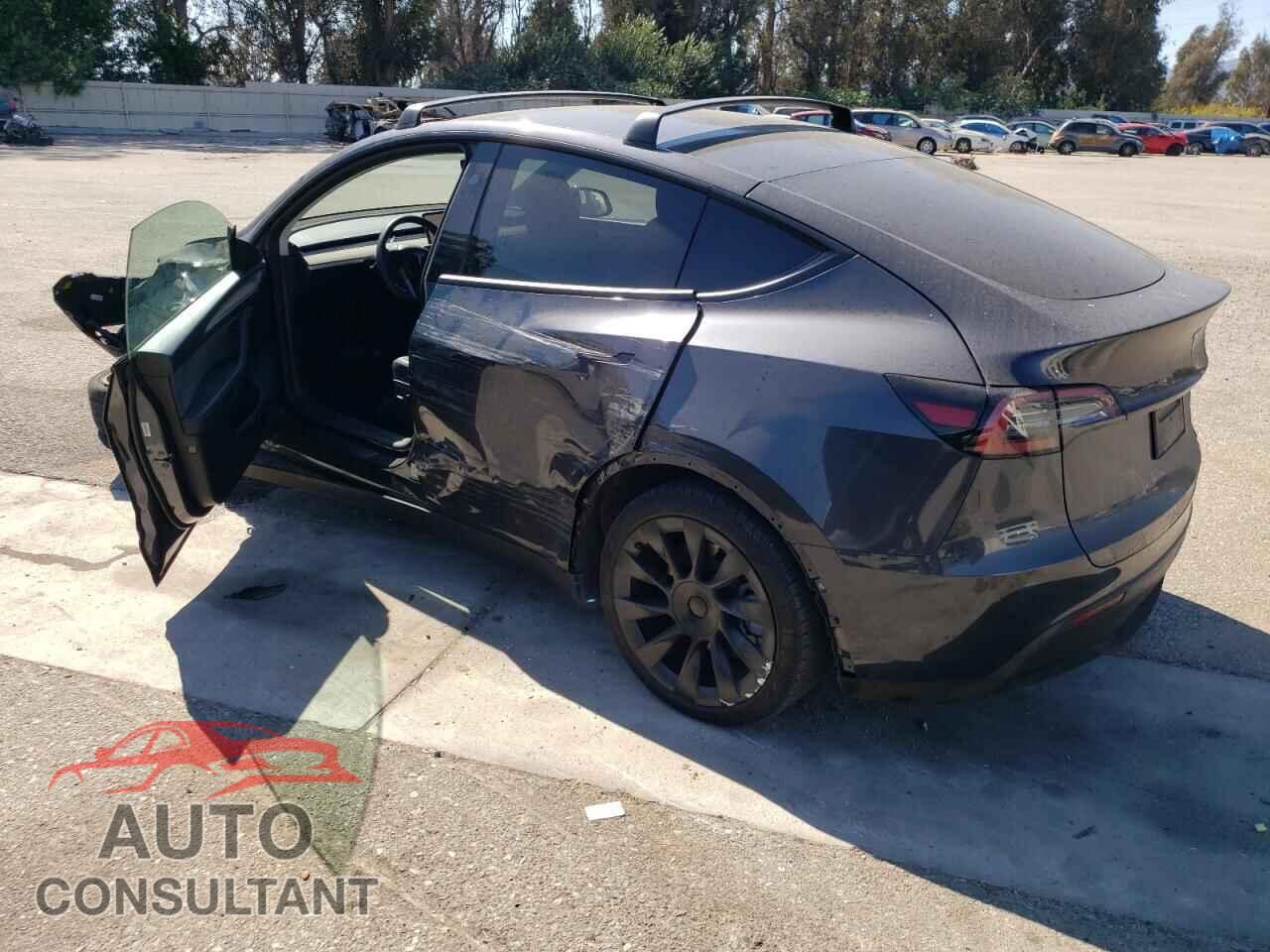 TESLA MODEL Y 2024 - 7SAYGDEE1RF128632