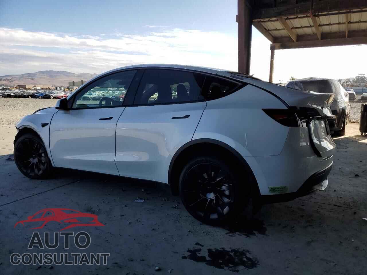 TESLA MODEL Y 2023 - 7SAYGDEE4PF791237
